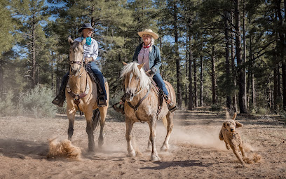 Torreon Equestrian Center, LLC