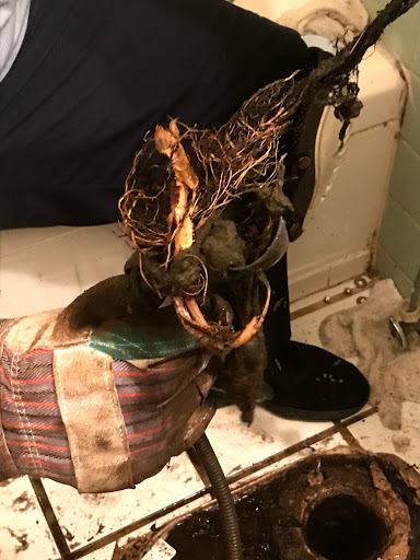 Plumber «Roto-Rooter Plumbing & Drain Services», reviews and photos, 1234 S John Young Pkwy, Kissimmee, FL 34741, USA