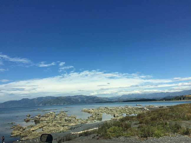 Comments and reviews of Kaikoura Marine Tours
