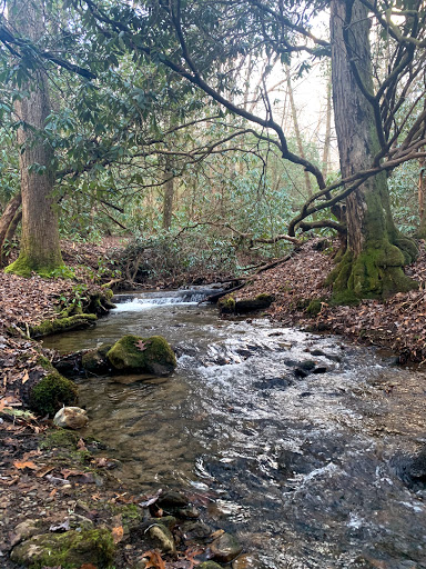 Insurance Agency «Jeff Summers - State Farm Insurance Agent», reviews and photos