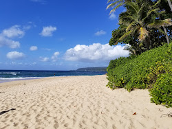 Papa'Iloa Beach'in fotoğrafı vahşi alan