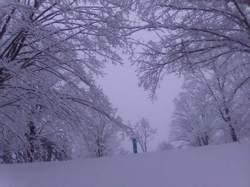 Golf Course «Amesbury Pines Disc Golf Course», reviews and photos, Highland St, Amesbury, MA 01913, USA