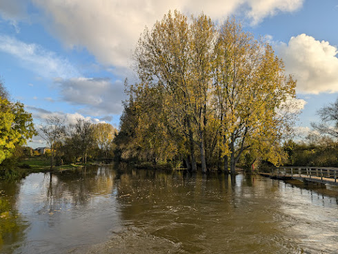 Port Meadow by null