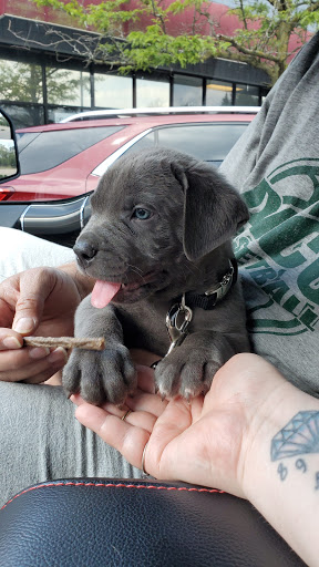 Pet Store «Feed Rite Pet Shop & Supply», reviews and photos, 11760 Belleville Rd, Belleville, MI 48111, USA