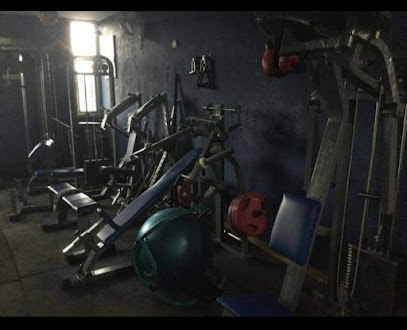 The Royal Fitness -Gym - PPP8+W2R, Sector 56, Sahibzada Ajit Singh Nagar, Chandigarh, Punjab 160056, India