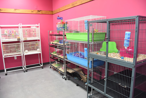 Pet Supply Store «Animal House Pet Supplies», reviews and photos, 733 Phillips Blvd, Sauk City, WI 53583, USA