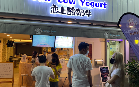 Cow Cow Yogurt SS15 image