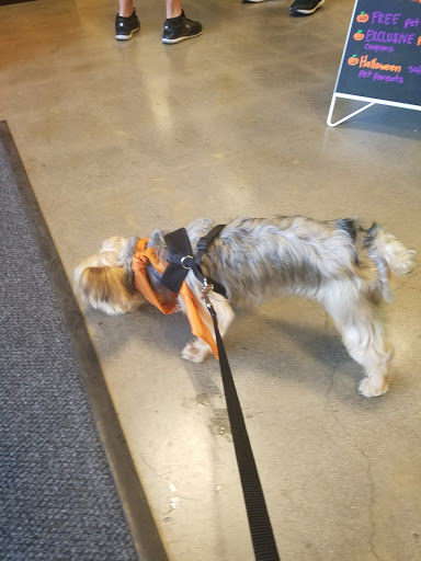 Pet Supply Store «PetSmart», reviews and photos, 13720 Riverside Dr, Sherman Oaks, CA 91423, USA