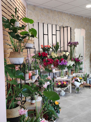 Délice floral-fleuriste Frontignan (zone commerciale les portes du muscat) à Frontignan