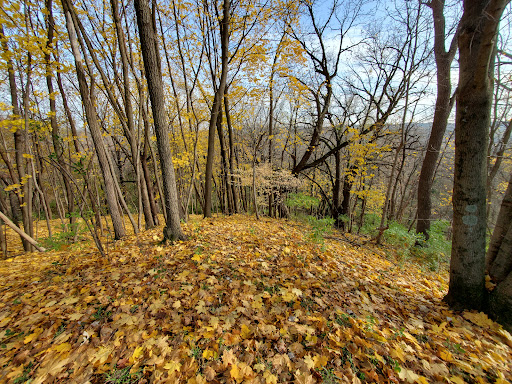 Nature Preserve «Fox Bluff Conservation Area», reviews and photos, Cold Springs Rd, Algonquin, IL 60102, USA