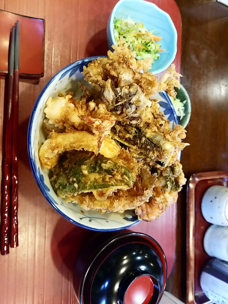 天ぷら天乙 千葉県松戸市二十世紀が丘梨元町 天ぷら店 グルコミ