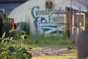 Crossroads Farm at Grossmann's image