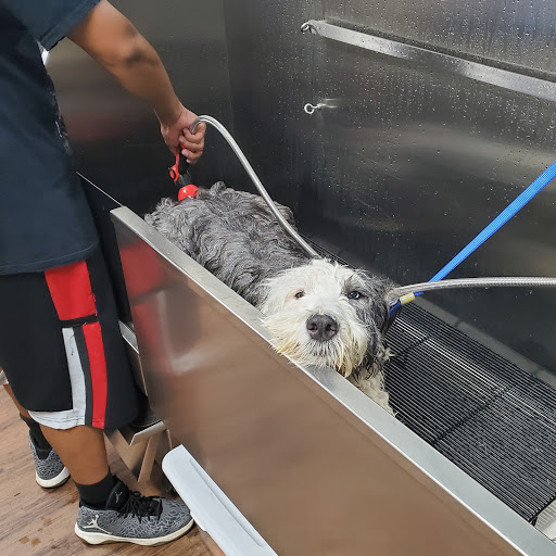 Pet Groomer «U Dirty Dog», reviews and photos, 232 Stevens Entry, Peachtree City, GA 30269, USA