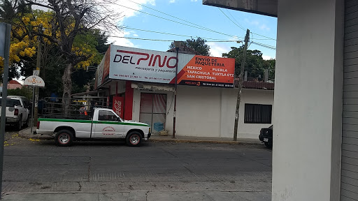 Del Pino Mensajería y Paquetería