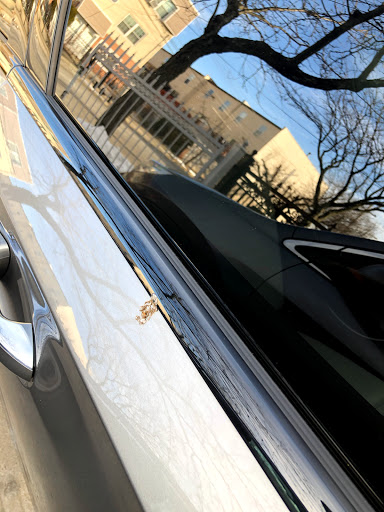 Car Wash «Stop N Stare Hand Car Wash», reviews and photos, 1749 Zerega Ave, Bronx, NY 10462, USA