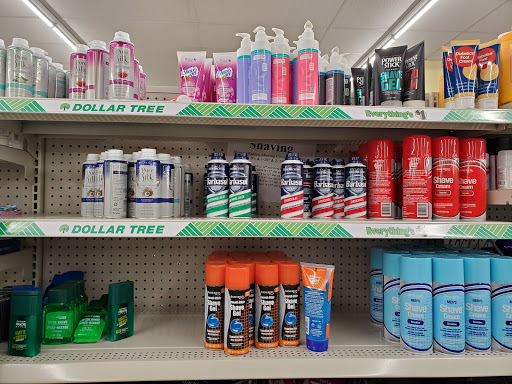 Dollar Store «Dollar Tree», reviews and photos, 528 North Ave, Glendale Heights, IL 60139, USA