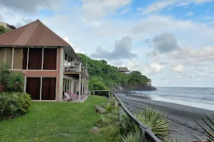 Punta Mango Surf Resort image