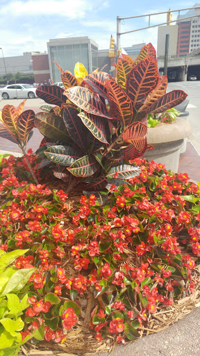 Stadium «Lucas Oil Stadium», reviews and photos, 500 S Capitol Ave, Indianapolis, IN 46225, USA