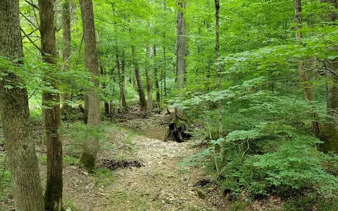 O'Bannon Woods State Park image