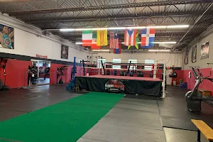 Four Ropes Boxing image