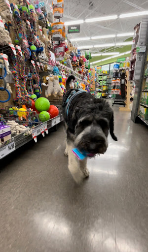 Pet Supply Store «Pet Supplies Plus», reviews and photos, 12407 MoPac Expy 525 - B, Austin, TX 78758, USA