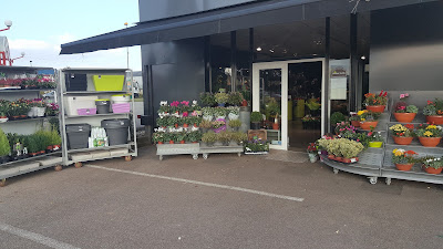 Ambiance Fleurs à Bosroumois