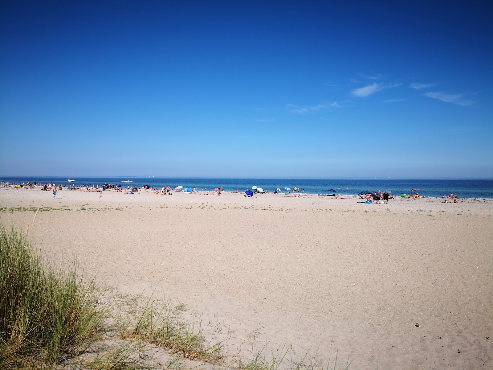 Nyborg Beach的照片 具有非常干净级别的清洁度