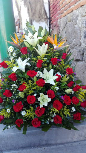 Floreria Aleli – Temixco