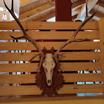 Photo n°1 de l'avis de Silvia.o fait le 09/08/2023 à 20:42 sur le  Malga Millegrobbe à Lavarone