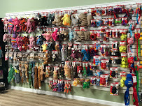 Well Bred - The Healthy Pet Marketplace, Self Wash & DOG GROOMERS - Photo 8 - Car repair in Livingston, NJ, Newark