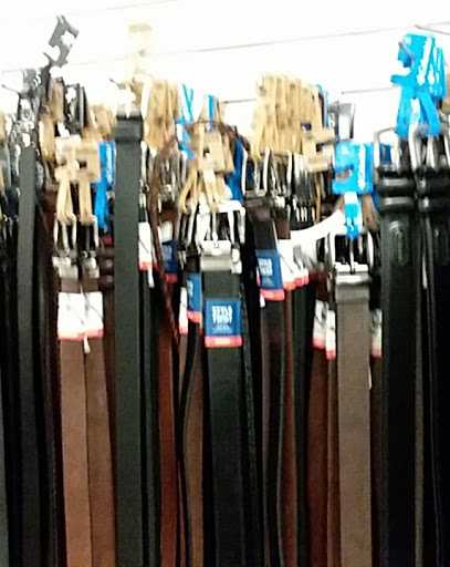 Department Store «JCPenney», reviews and photos, 403 Main St, Williston, ND 58801, USA