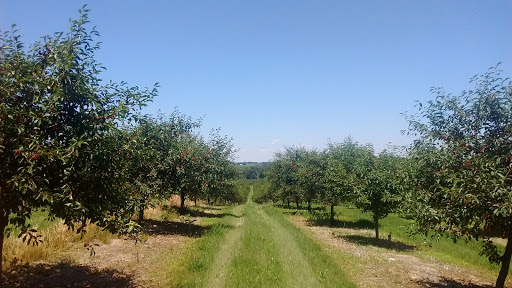 Goodfellow Orchards