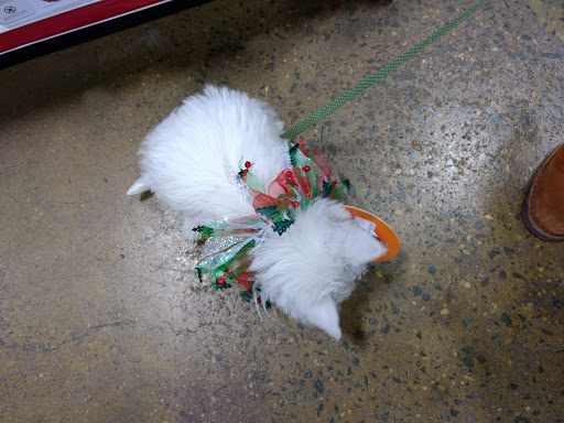 Pet Supply Store «One of the Family Pet Supply LLC», reviews and photos, 288 Lincoln Blvd, Middlesex, NJ 08846, USA