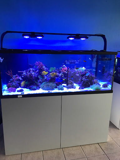 Aquastudios Aquarium
