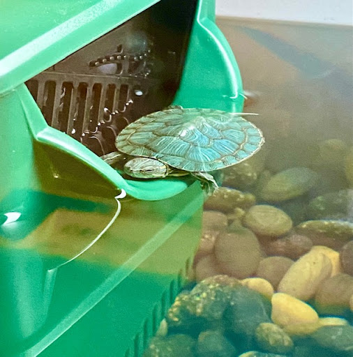 Pet Supply Store «Petco Animal Supplies», reviews and photos, 1400f 75th St, Downers Grove, IL 60516, USA