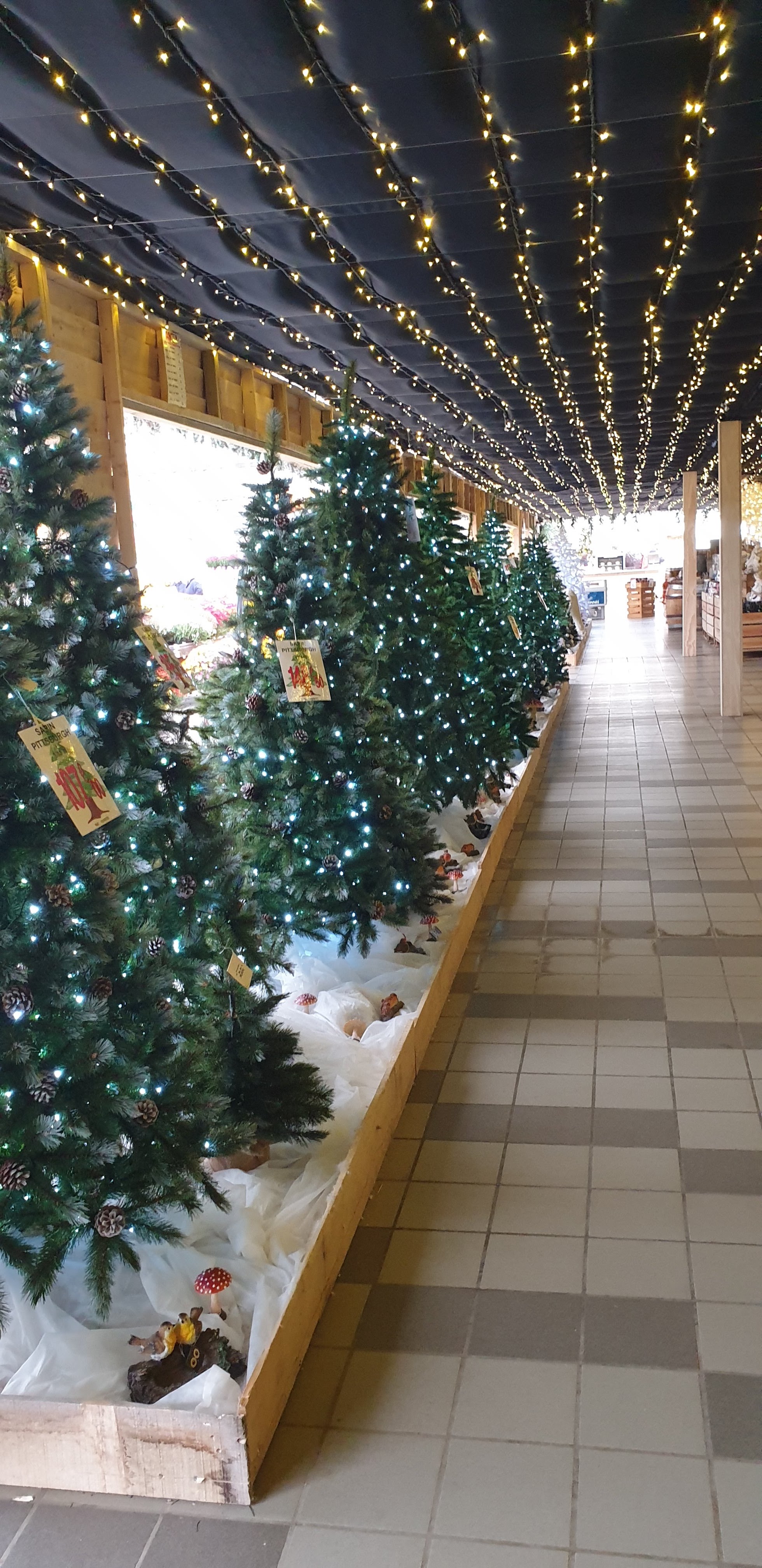 Photo n° 3 de l'avis de Annie.o fait le 12/11/2019 à 07:36
