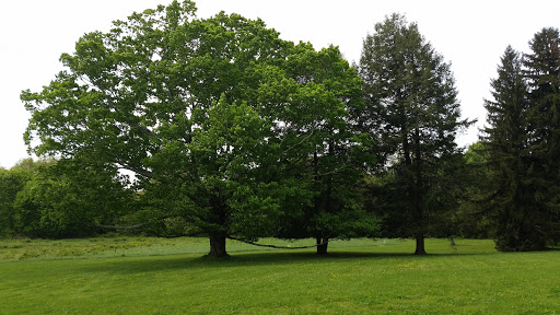 History Museum «Eustis Estate Museum and Study Center», reviews and photos, 1424 Canton Ave, Milton, MA 02186, USA