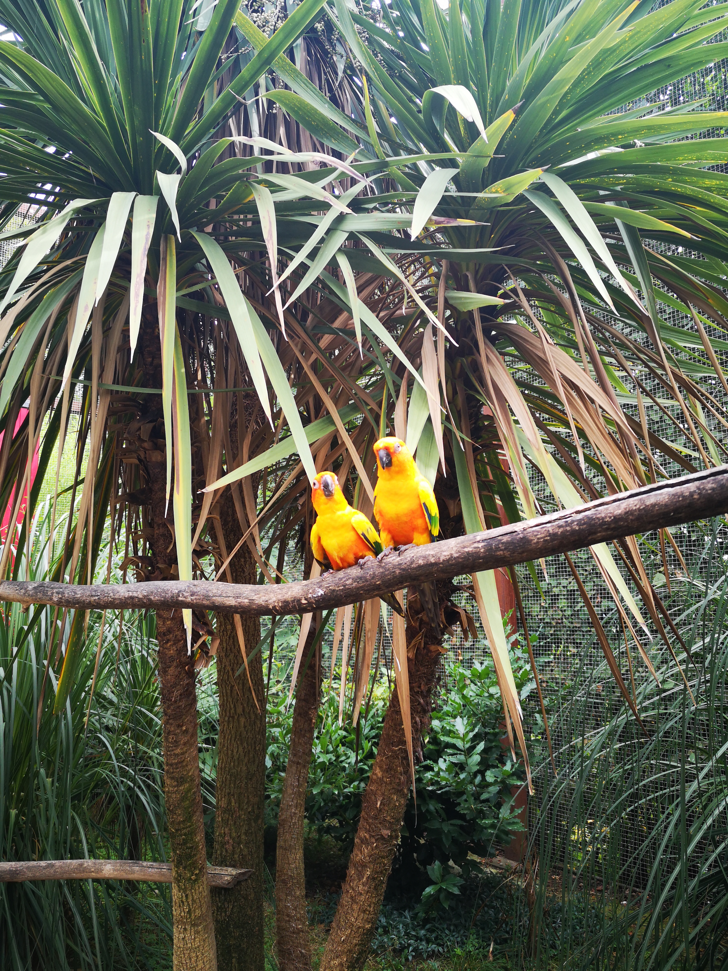 Photo n° 25 de l'avis de Xxx.x fait le 14/08/2020 à 21:01