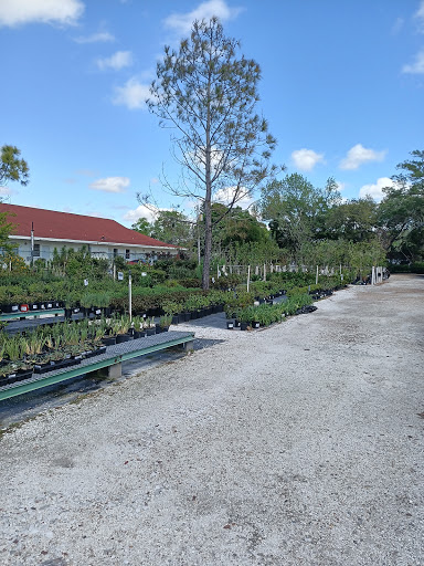 Plant Nursery «Wilcox Nursery», reviews and photos, 12501 Indian Rocks Rd, Largo, FL 33774, USA