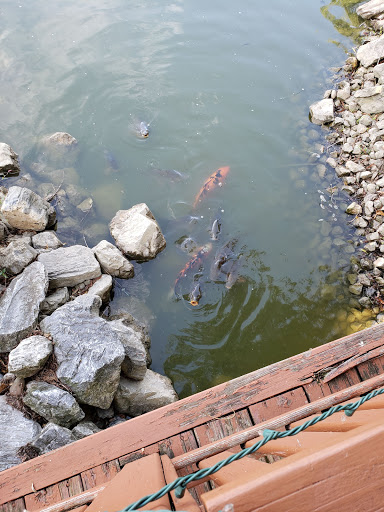 Golf Course «Waters Edge Mini Golf», reviews and photos, 230 N Ronks Rd, Bird in Hand, PA 17505, USA