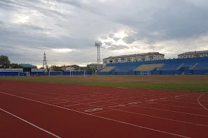 Центральный стадион, ГБУ «СШОР №1» image