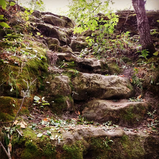 Nature Preserve «Chimney Rock Scientific and Natural Area (SNA)», reviews and photos, Joan Ave, Hastings, MN 55033, USA