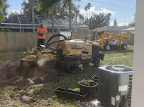 Allpro Tree & Landscaping - Photo 8 - Car repair in , Tampa