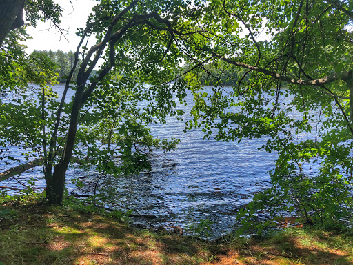 State Park «Hopkinton State Park», reviews and photos, 164 Cedar St, Hopkinton, MA 01748, USA