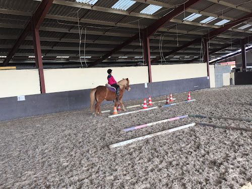 Laurentides Equitation à Balan