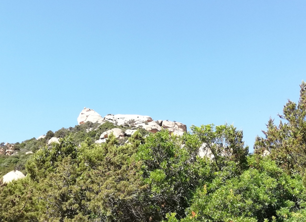 Photo n° 7 de l'avis de Lydie.a fait le 14/09/2018 à 18:12