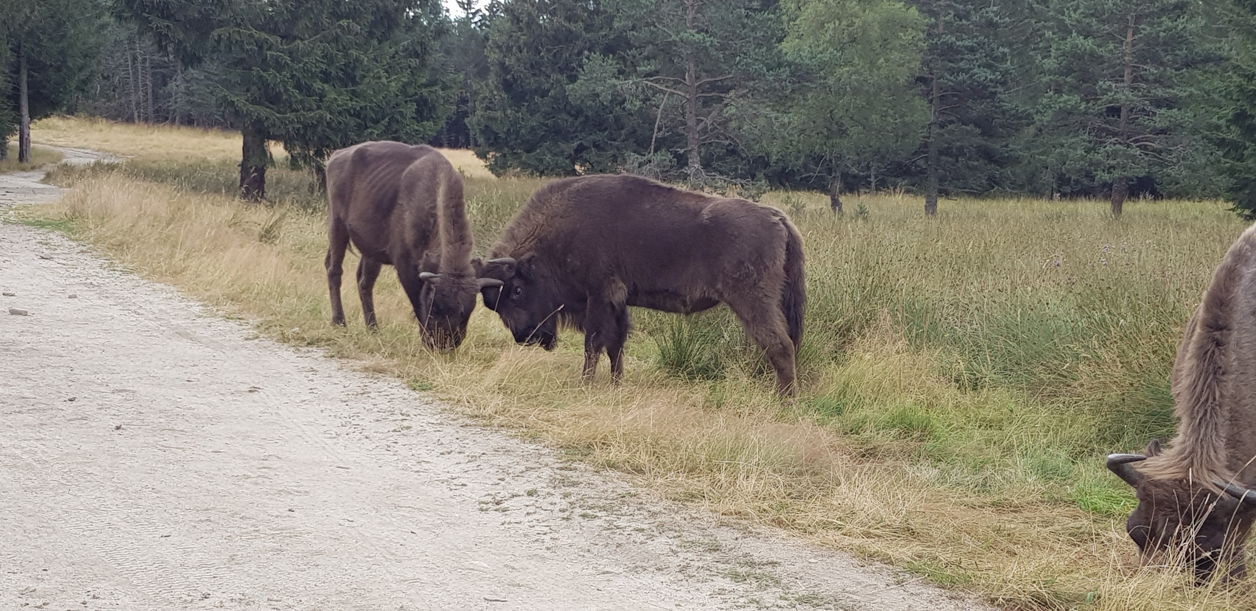 Photo n° 4 de l'avis de Cathy.o fait le 06/08/2020 à 16:53