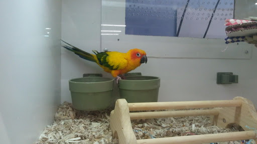 Pet Store «Fins Feathers Paws Claws», reviews and photos, 201 Station Rd, Quakertown, PA 18951, USA