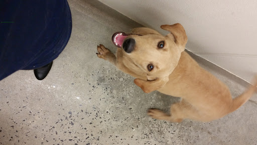 Pet Supply Store «Petco Animal Supplies», reviews and photos, 1391 NJ-35, Middletown, NJ 07748, USA