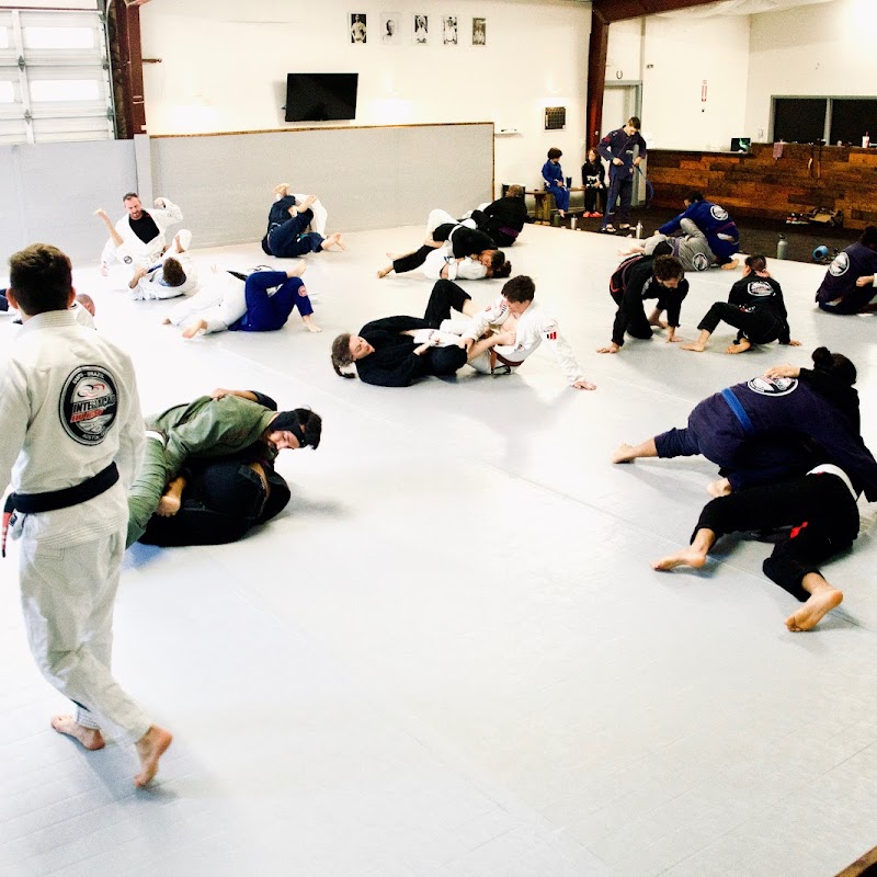 Integração USA - Brazilian Jiu Jitsu